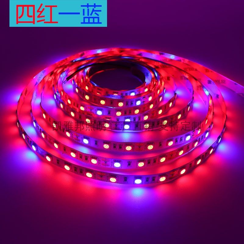 补光LD灯条生长灯带大鹏多肉蔬菜肉类育苗卉灯,家装灯饰光源,室外LED灯带,淘宝优惠券,粉丝福利购,淘宝优惠卷