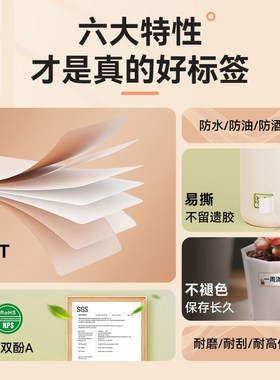 硕方ioo连续标签带纯色干胶标签纸