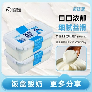 自在蓝饭盒酸奶风味发酵乳1kg儿童营养饭盒早餐晚餐低温原味酸奶