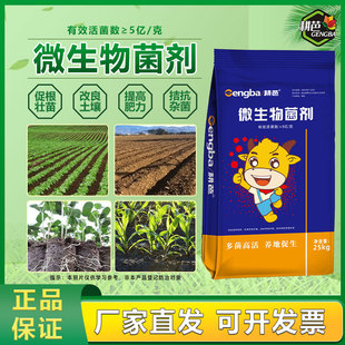 耕芭微生物菌剂有机肥促根壮苗提高肥粒底肥追肥抗重茬果树蔬菜
