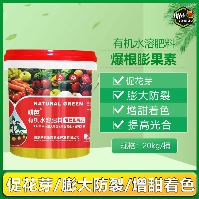 爆根膨果素大桶槟榔有机水溶耕芭农业生产肥料