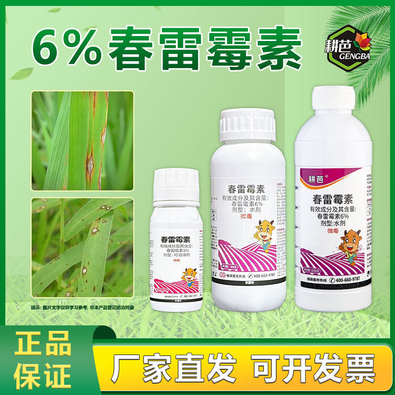 耕芭6%春雷霉素水稻稻瘟病穿孔流胶枯萎角斑等细菌性用杀菌剂水剂