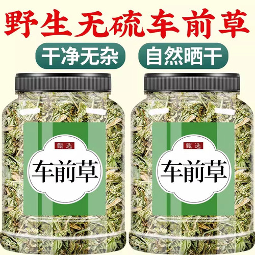 旗舰店带根非中药材新鲜袋泡茶