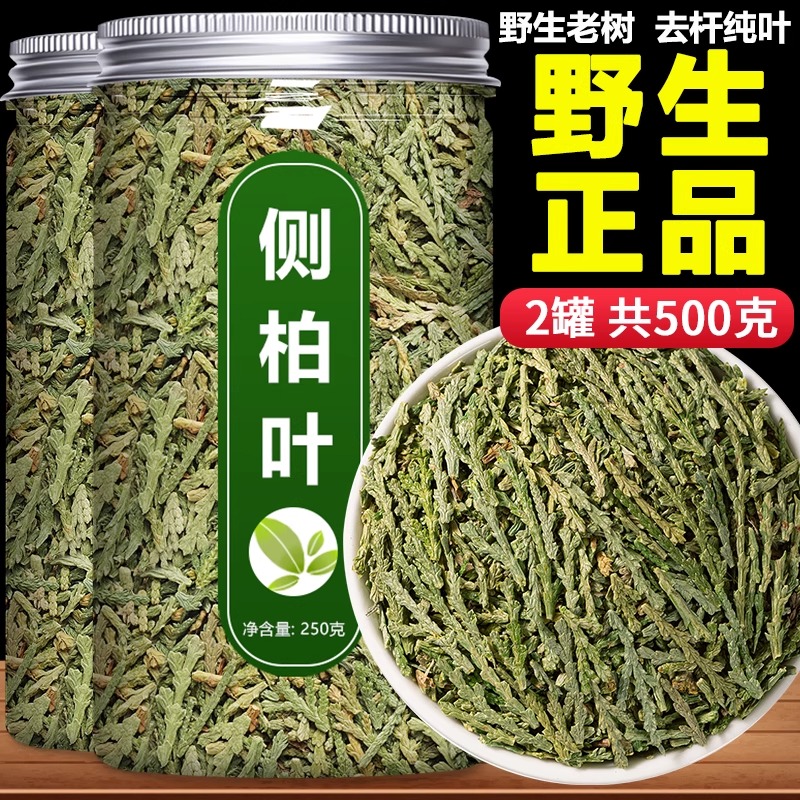 侧柏叶中药材500g正品野生新鲜干侧伯叶扁柏叶洗发包洗头粉何首乌