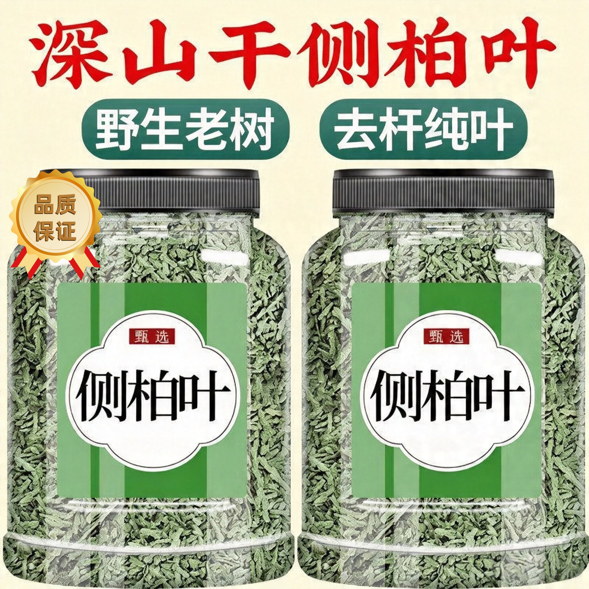 侧柏叶干中药材新鲜洗头发包
