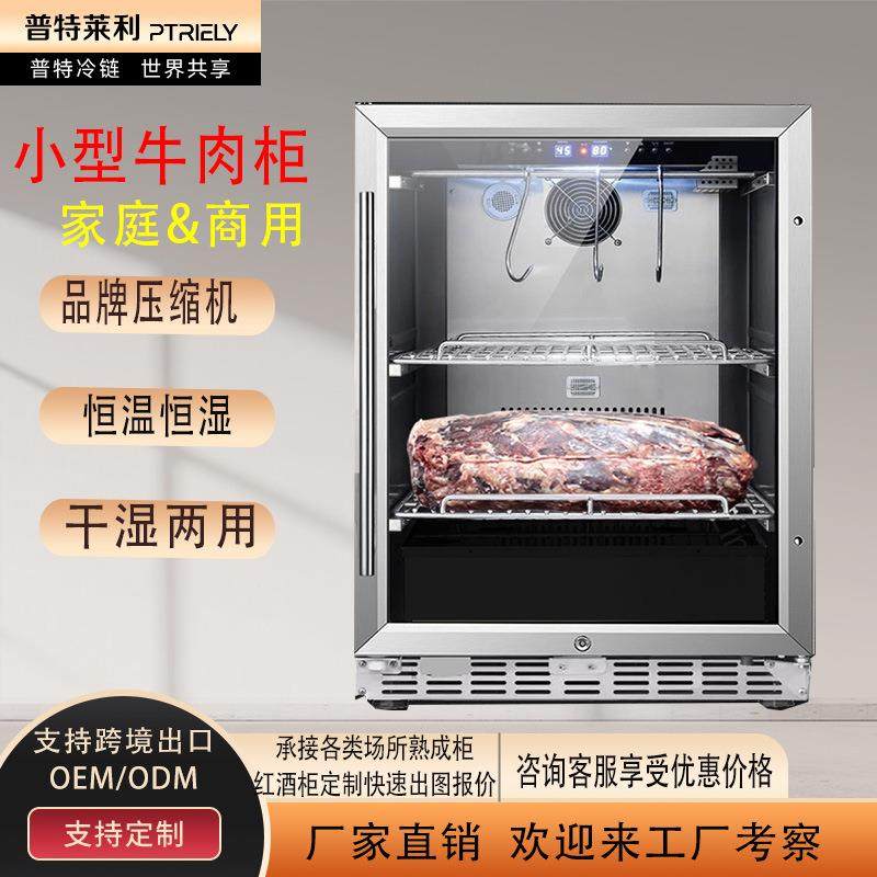 小型家用牛肉熟成柜深海鱼保鲜柜五花肉牛排冷藏立式展示柜干湿排