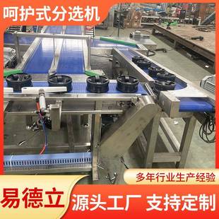 草莓无损分选机大型果蔬分级机哈密瓜无损分选机自动分拣系统