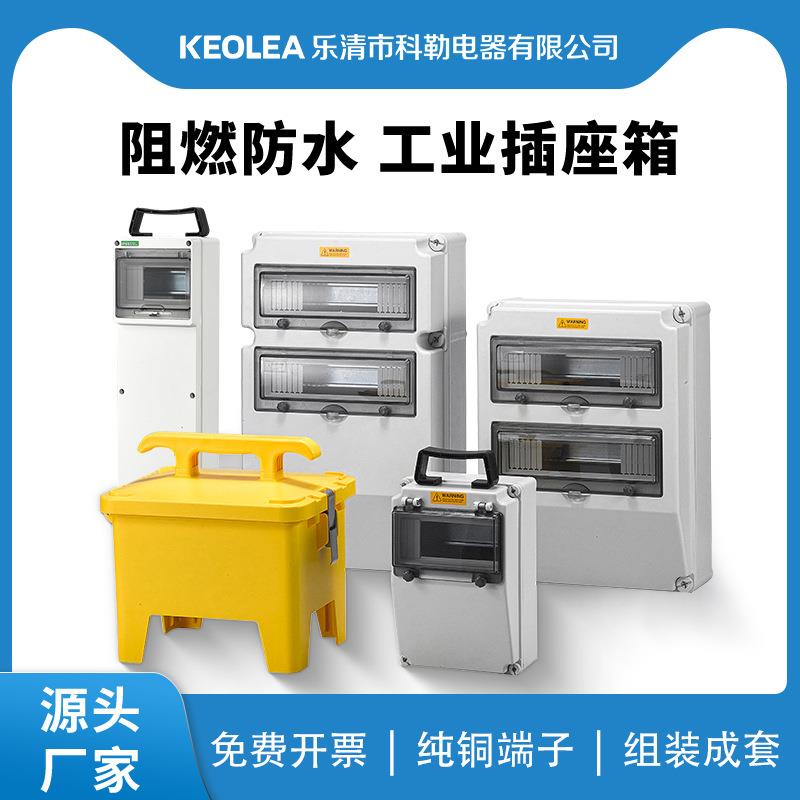 户外照明防水组合工业插座箱壁挂式配电箱移动电源检修插座箱