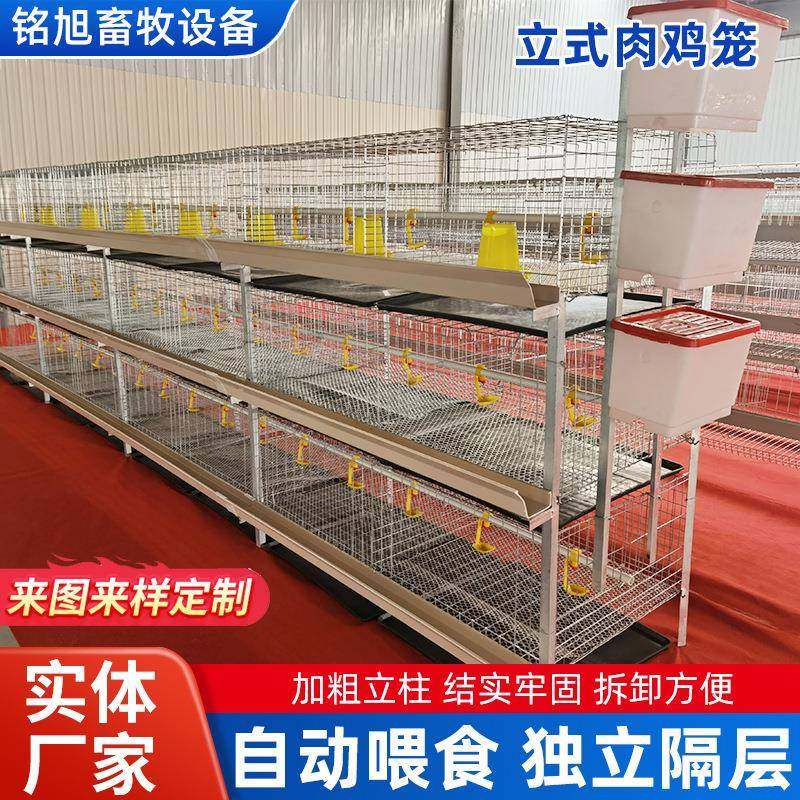 养殖立式肉鸡笼大号蛋鸡笼镀锌大棚院子鸡舍层叠自动清粪养鸡笼子,农机/农具/农膜,农用防护器具,淘宝优惠券,粉丝福利购,淘宝优惠卷