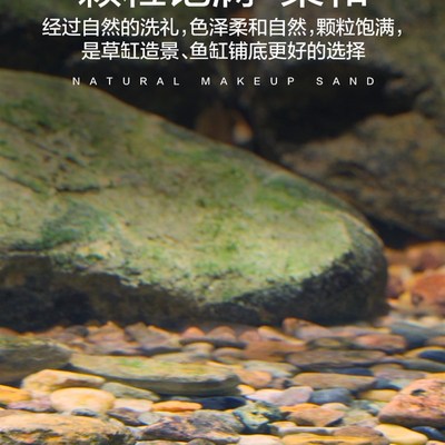 新疆包邮溪流石鱼缸造景底砂免洗天然溪流沙南美缸龟缸原生缸底沙