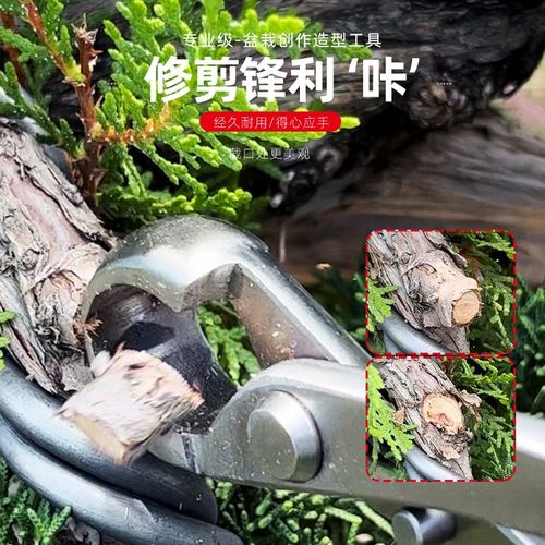 球节剪盆景修剪造型专用工具大全叶芽球形型剪刀不锈钢修枝钳套装