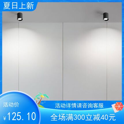 西顿照明LED免开孔明装吸顶筒灯客厅走廊过道天花灯CEX9101C-A