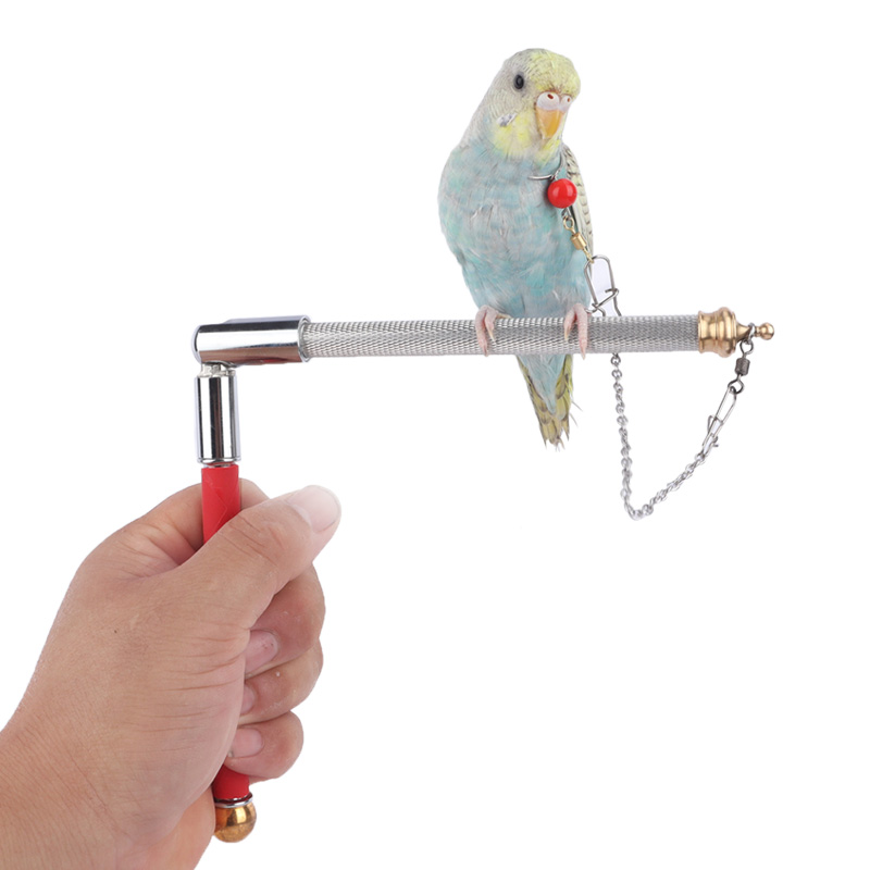 虎皮玄凤鹦鹉单车站架外出遛鸟万能固定便携手持站架多功能站架