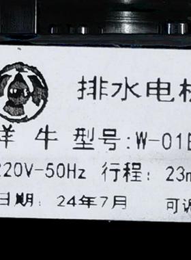 洗衣机牵引器 排水阀 AC:220V 50HZ/60HZ 【两线 线六孔黑色】