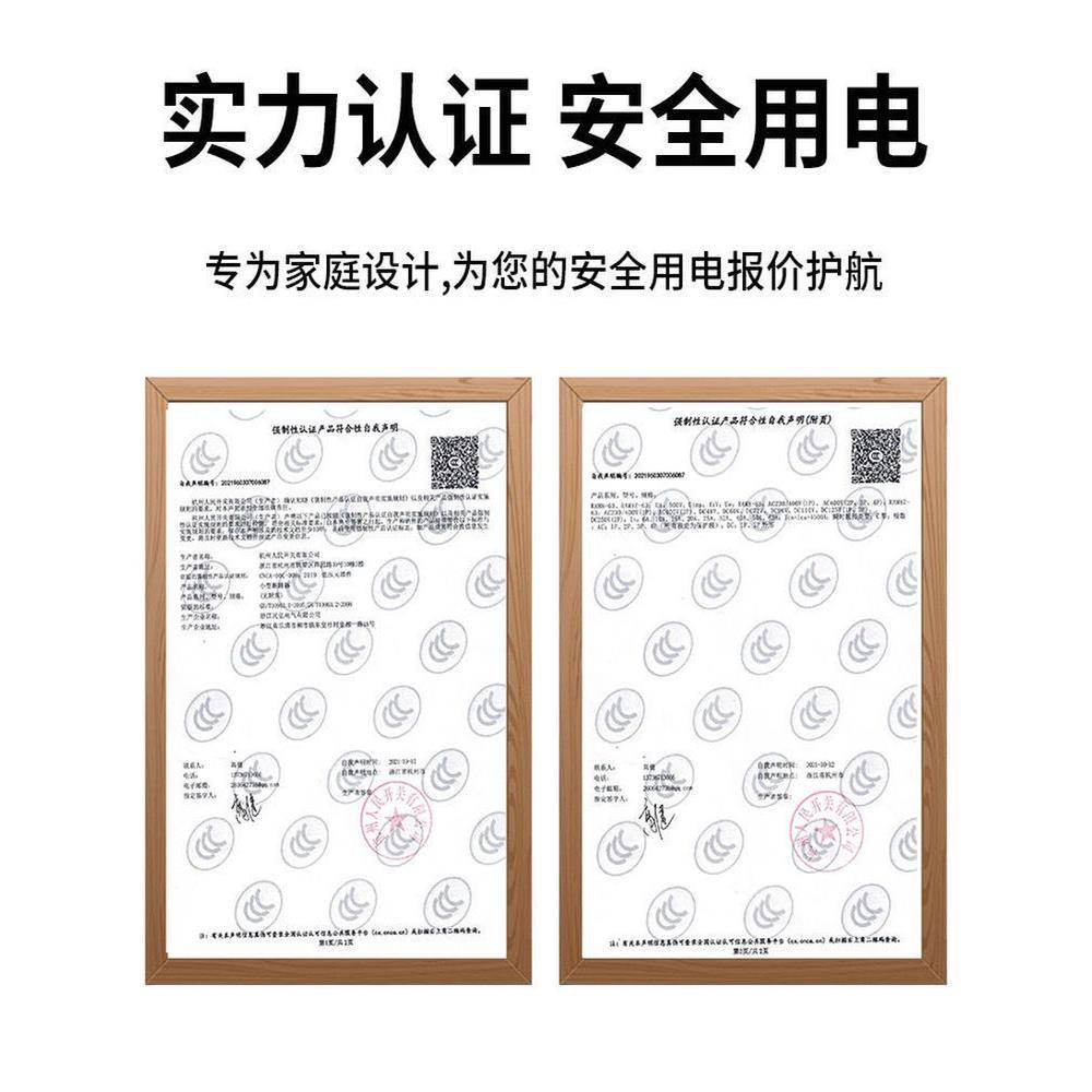 杭州人民Ram8Le-63A家用漏电保护器2P小型断路器空调正门成套设备