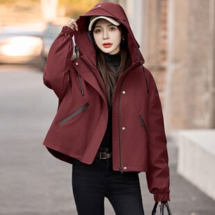 超好看派克羽绒服女款冬季2024新款女士短款小个子时尚冲锋衣外套