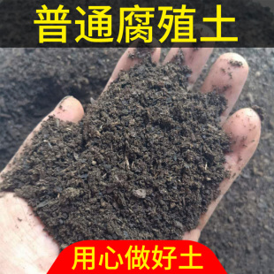 腐熟松针腐殖土天然有机腐叶种植土养花种菜专用酸性通用型营养土