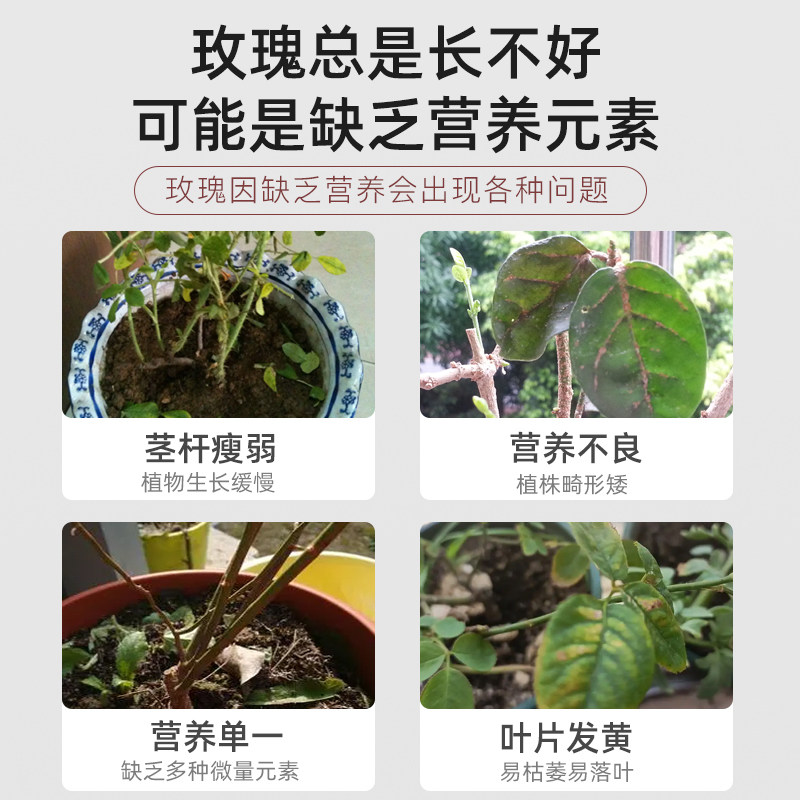 玫瑰花专用缓释肥复合肥家用型控释颗粒植物盆栽绿植花卉养花肥料,鲜花速递/花卉仿真/绿植园艺,家庭园艺肥料,淘宝优惠券,粉丝福利购,淘宝优惠卷