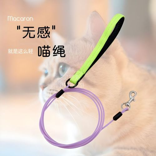 猫咪牵引绳宠物猫防挣脱外出遛猫钢丝绳幼犬幼猫小型犬专用猫链子