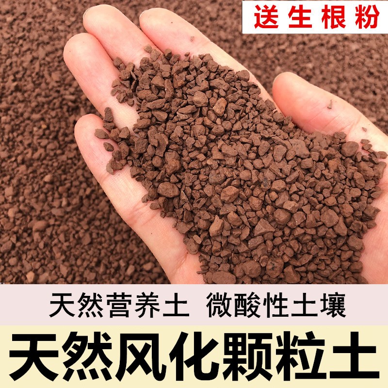 小叶簕竹土勒竹专用土风化土种竹子土红土酸性盆景土种植土营养土