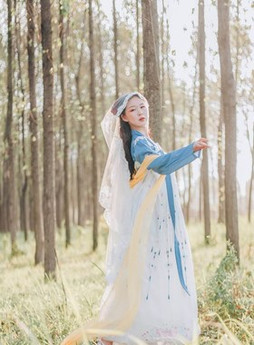 超仙的亮丝【锦丝幻色】披帛女汉服单件龙母披肩舞蹈飘带百搭唐风