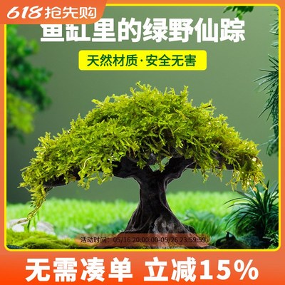 沉木莫斯树水草生态鱼缸专用造景水草树养鱼水草水培植物和鱼共养