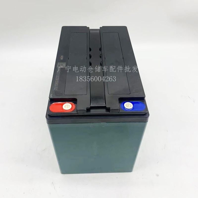中力电动叉车电池小金刚铅酸电瓶地牛配件6-GFM-65A蓄电池12V原厂