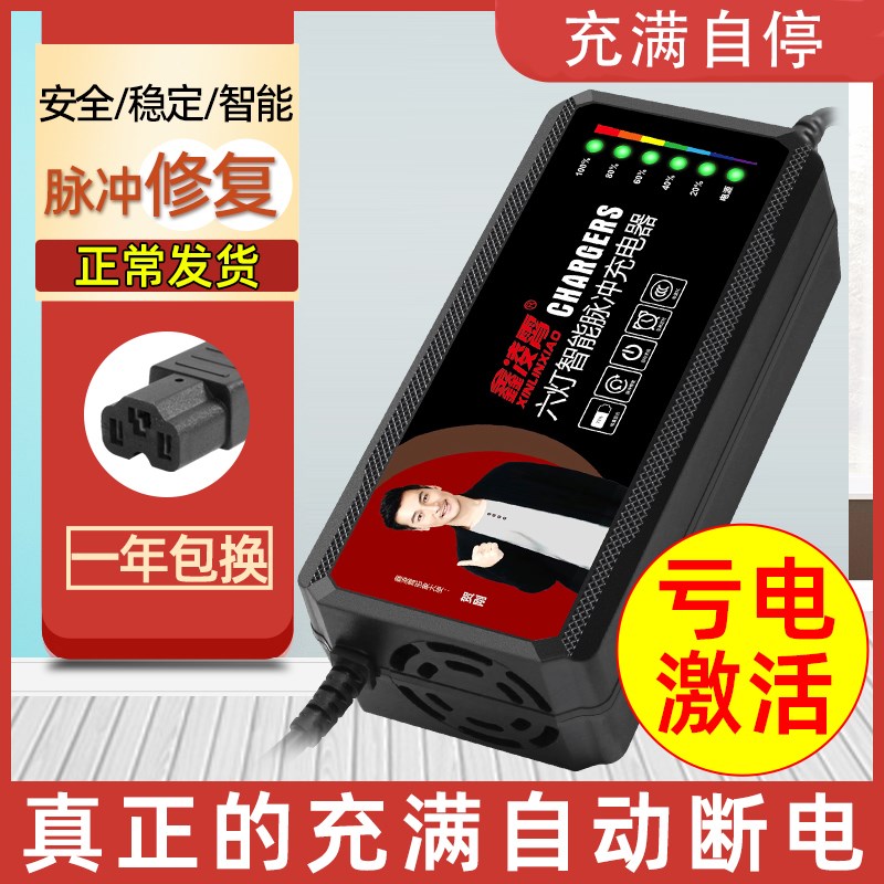 适用电动车充电器48v12ah60v20/30ah72v踏浪接口三轮车通用96