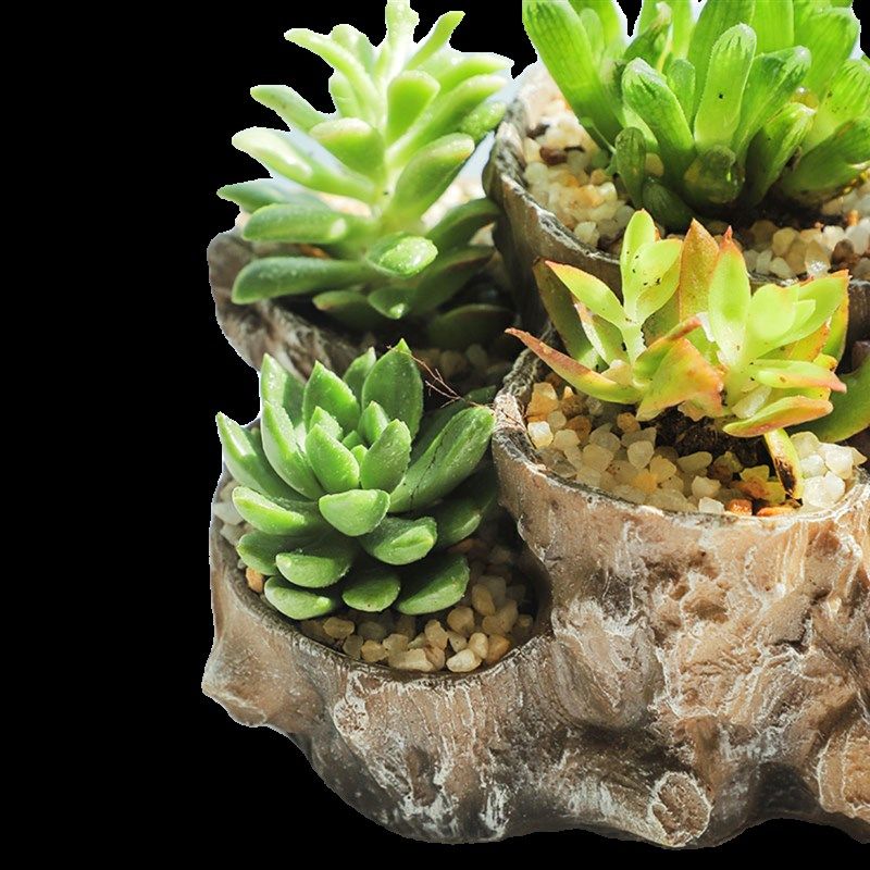 创意长方形多口花盆根雕枯木中大号口径仿木阳台客厅多肉肉盆