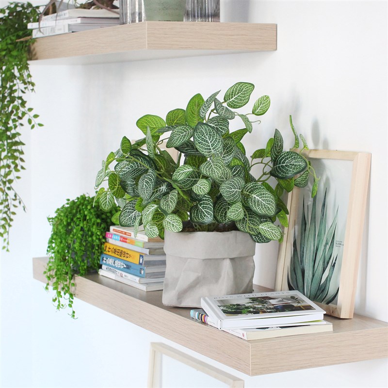 西西里 仿真绿植基础款桌面植物 家居客厅书柜隔板摆件餐厅办公室