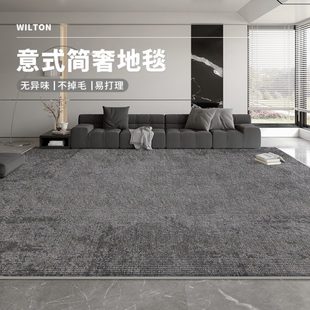 极简2024新款 客厅地毯免洗可擦洗意式 地垫轻奢高级感家用沙发茶几