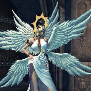 剑灵单机生魂一键端虚拟机电脑D大型动作游戏网游三系