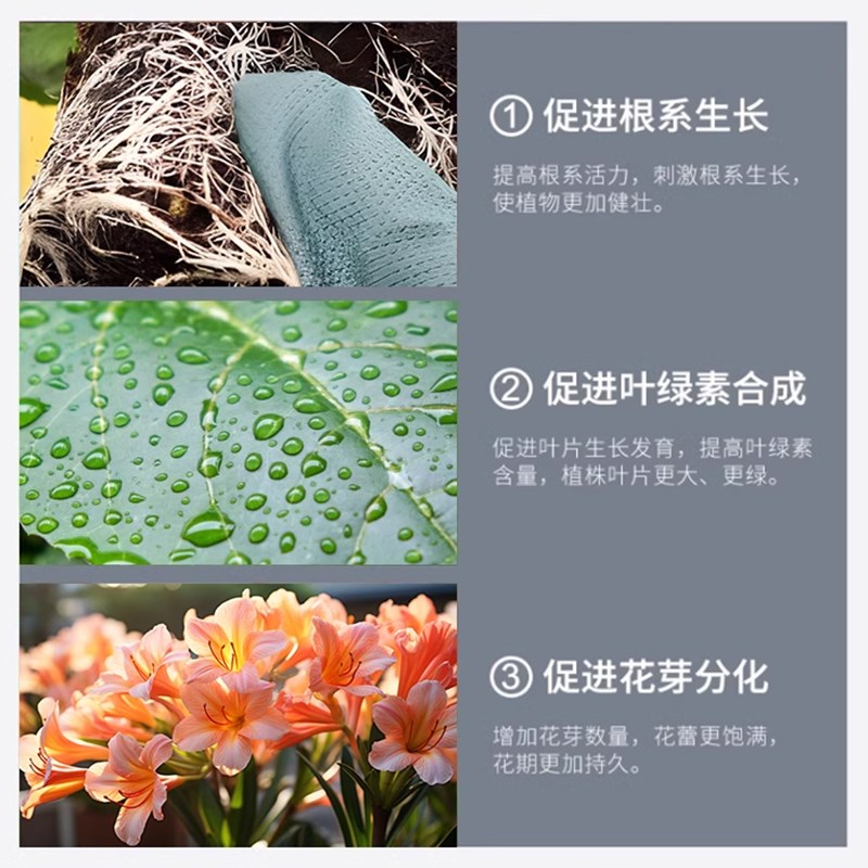 水培植物营养液室内盆栽植物营养液通用型富贵竹绿萝肥料养花肥料