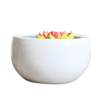 客厅家用小型陶瓷聚宝盆金鱼缸桌面摆件纯白阳台小院装饰水族箱