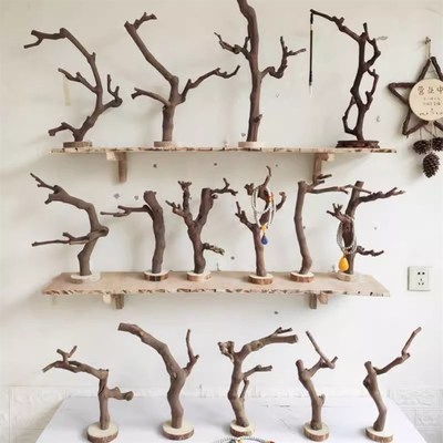干树枝摆件装饰天然树干枯木造景树杈支架展示P架文玩挂架子造型