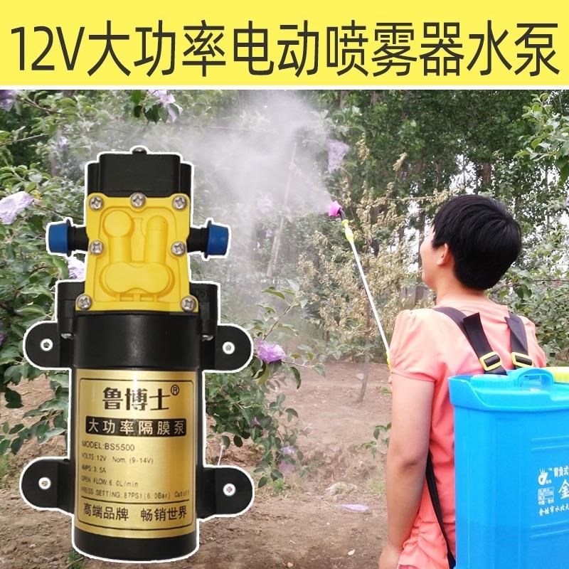 电动喷雾器水泵高压小型12V马达隔膜泵电机农用打药机配件大全