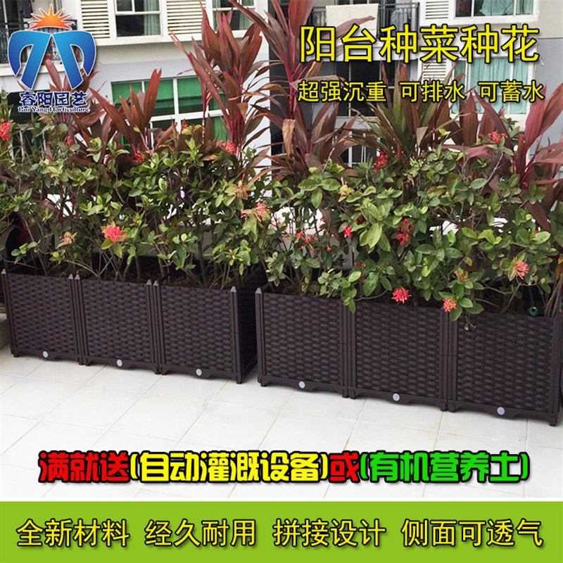 阳台种菜箱种植箱家庭屋顶菜园设备特大加深种菜盆槽塑料花盆