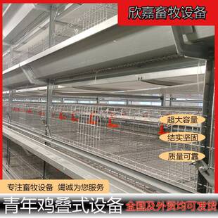 青年鸡自动化设备自动清粪自动喂料鸡舍养殖场专用设备坚固耐用