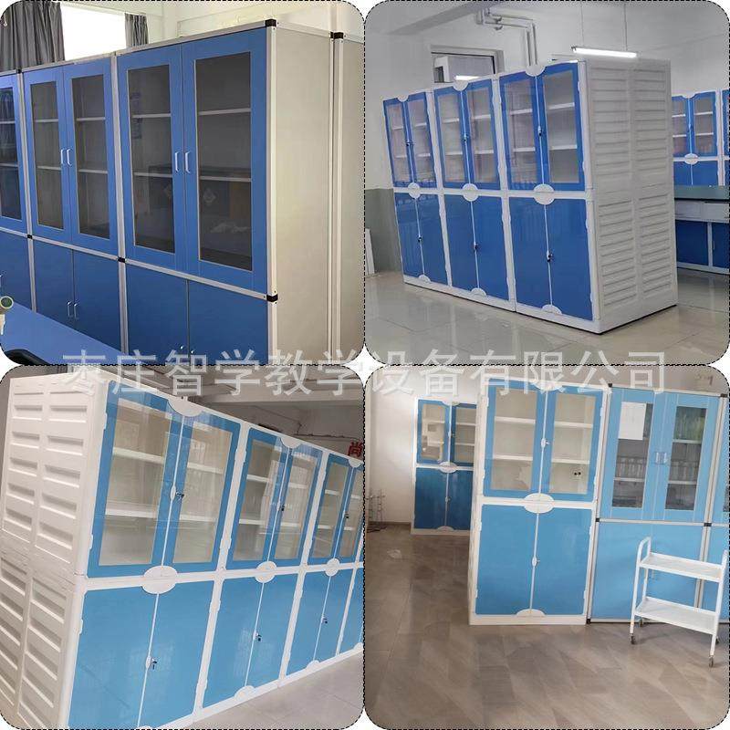 中小学实验室PP仪器柜化学通风药品柜准备室文件柜子实验室专用,商业/办公家具,课桌椅/学生桌椅,淘宝优惠券,粉丝福利购,淘宝优惠卷