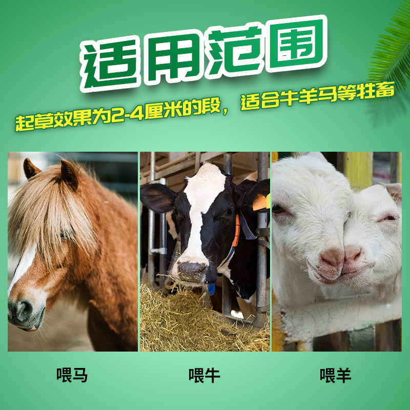 新型补铡草揉丝家用小型养殖切草干湿两用铡揉粉碎,农机/农具/农膜,铡草机,淘宝优惠券,粉丝福利购,淘宝优惠卷