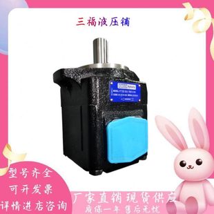 017 012 丹尼逊T6C 020 028 025 031叶片泵 010 022 014