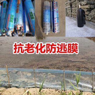 蟹苗防逃膜塑料薄膜河蟹龙虾甲鱼螃蟹大闸蟹水产养殖防逃膜围栏板