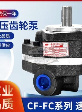 中压齿轮油泵CB-FC10 矿山机械 叉车油泵 16MPA CB-FC16 FA18