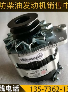 226B潍柴WP4道依茨WP6柴油发动机铲车装载机原厂件13024345发电机
