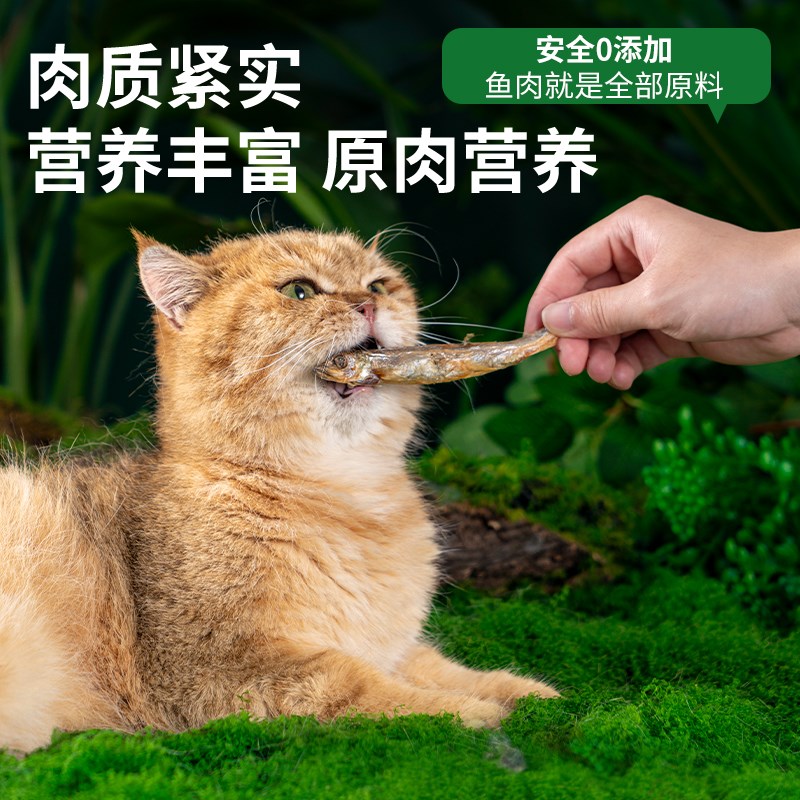 猫咪零食多春鱼冻干宠物增肥发腮磨牙棒营养靓毛原切鱼肉块拌猫粮