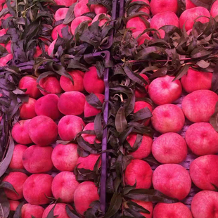 生鲜展示柜专用灯风幕冷风灯管冷柜卖肉保鲜柜水果超市货架面包T5