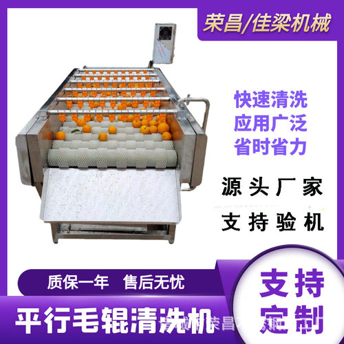 平行毛辊清洗机桃子苹果柿子清