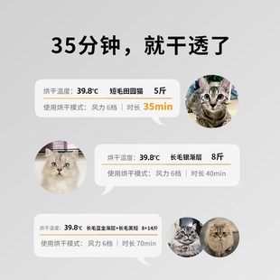 猫咪烘干机吹风机专用家用洗澡自动吹水狗狗 小佩宠物烘干箱MAX