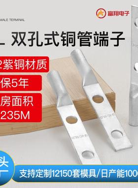 定制CL-2H双孔新能源铜管端子 过大电流变压器SC240-12双孔铜鼻子