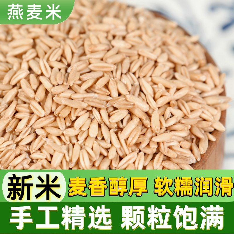 东北燕麦米营养新麦五谷杂粮燕麦米煮粥农家颗粒饱满燕麦米粗粮